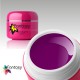  Barevný UV gel Fantasy Neon 5g - Violet