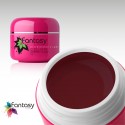 Barevný UV gel Fantasy Color 5g - Cherry Lady