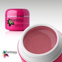 Barevný UV gel Fantasy Color 5g - Dream Pink