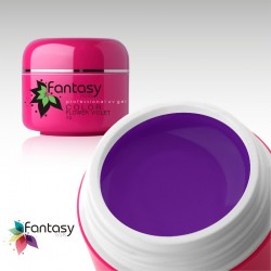 Barevný UV gel Fantasy Color 5g - Flower Violet